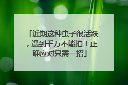 近期这种虫子很活跃，遇到千万不能拍！正确应对只需一招