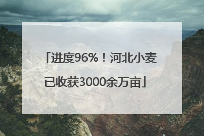 进度96%！河北小麦已收获3000余万亩