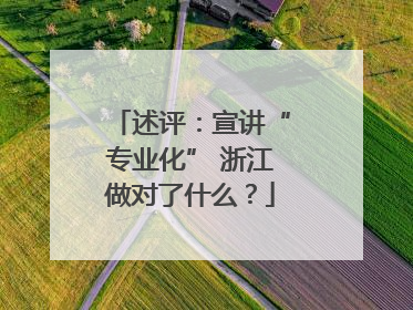 述评：宣讲“专业化” 浙江做对了什么？