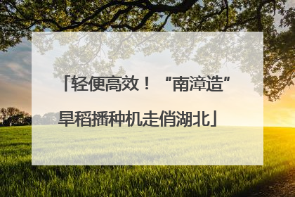 轻便高效！“南漳造”旱稻播种机走俏湖北