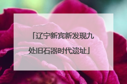 辽宁新宾新发现九处旧石器时代遗址