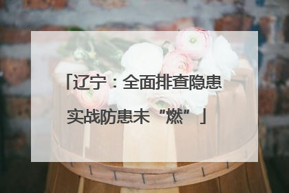 辽宁：全面排查隐患 实战防患未“燃”