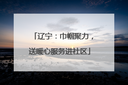 辽宁：巾帼聚力，送暖心服务进社区
