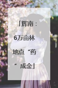 辉南：6万亩林地点“药”成金
