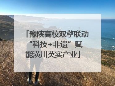 豫陕高校双擎联动 “科技+非遗”赋能潢川芡实产业