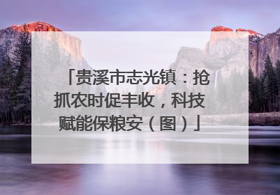 贵溪市志光镇：抢抓农时促丰收，科技赋能保粮安（图）