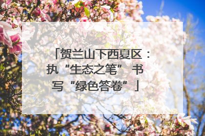 贺兰山下西夏区：执“生态之笔” 书写“绿色答卷”