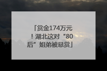 赏金174万元！湖北这对“80后”姐弟被悬赏