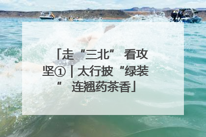 走“三北” 看攻坚①｜太行披“绿装” 连翘药茶香
