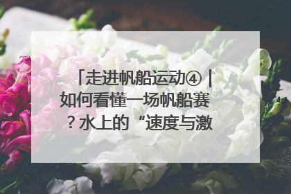 走进帆船运动④｜如何看懂一场帆船赛？水上的“速度与激情”同样精彩