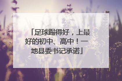足球踢得好，上最好的初中、高中！一地县委书记承诺