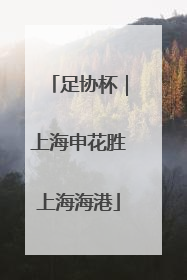 足协杯｜上海申花胜上海海港