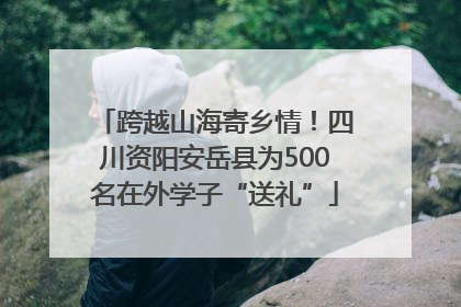 跨越山海寄乡情！四川资阳安岳县为500名在外学子“送礼”