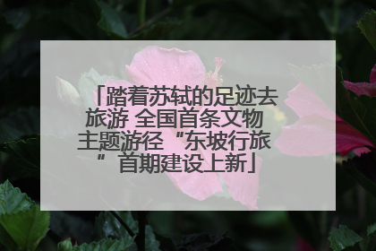 踏着苏轼的足迹去旅游 全国首条文物主题游径“东坡行旅”首期建设上新