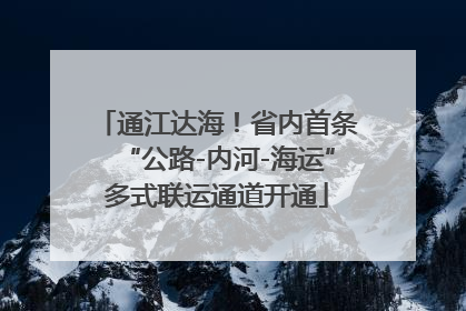 通江达海！省内首条“公路-内河-海运”多式联运通道开通