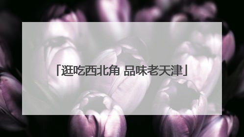 逛吃西北角 品味老天津