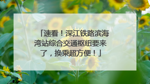 速看！深江铁路滨海湾站综合交通枢纽要来了，换乘超方便！