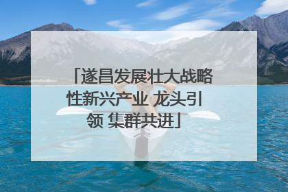 遂昌发展壮大战略性新兴产业 龙头引领 集群共进