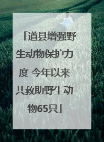 道县增强野生动物保护力度 今年以来共救助野生动物65只