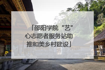 邵阳学院“艺”心志愿者服务站助推和美乡村建设