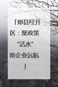 郏县经开区：聚政策“活水” 助企业远航