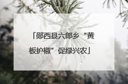 郧西县六郎乡“黄板护椒”促绿兴农