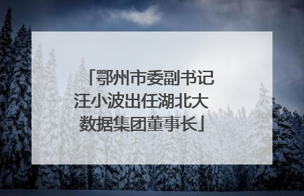 鄂州市委副书记汪小波出任湖北大数据集团董事长