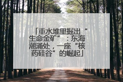 重水堆里掘出“生命金矿”：东海潮涌处，一座“核药硅谷”的崛起