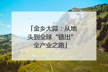金乡大蒜：从地头到全球“链出”全产业之路