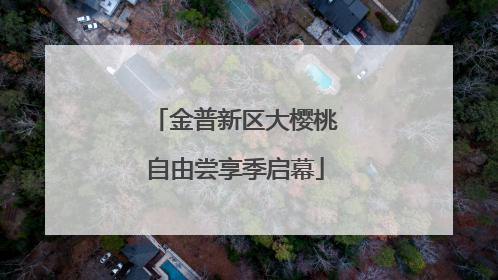 金普新区大樱桃自由尝享季启幕