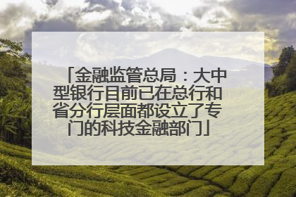 金融监管总局：大中型银行目前已在总行和省分行层面都设立了专门的科技金融部门