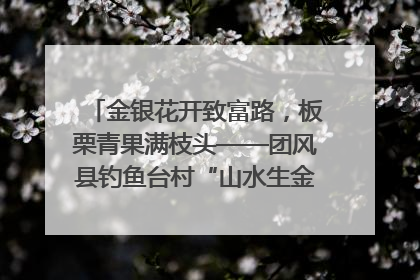 金银花开致富路，板栗青果满枝头——团风县钓鱼台村“山水生金”谱写共富新篇章