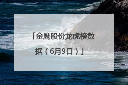 金鹰股份龙虎榜数据（6月9日）