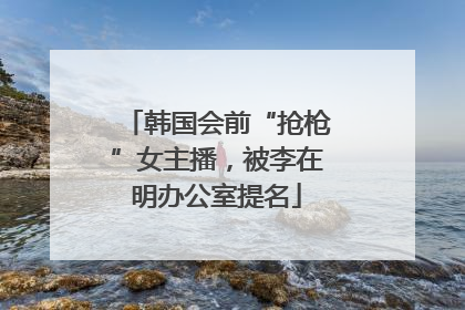 韩国会前“抢枪”女主播，被李在明办公室提名