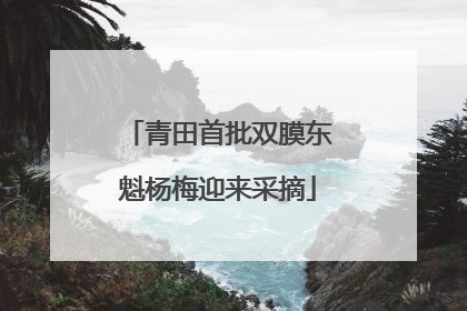 青田首批双膜东魁杨梅迎来采摘