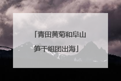 青田黄菊和阜山笋干组团出海
