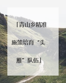 青山乡精准施策培育“头雁”队伍