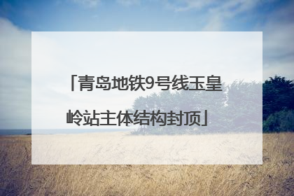 青岛地铁9号线玉皇岭站主体结构封顶