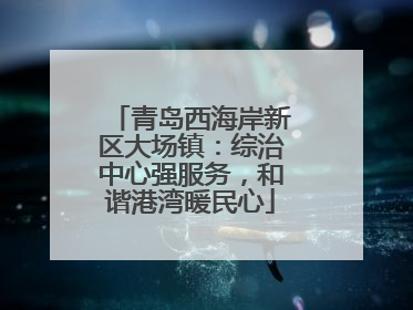 青岛西海岸新区大场镇：综治中心强服务，和谐港湾暖民心