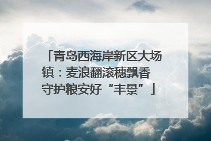 青岛西海岸新区大场镇：麦浪翻滚穗飘香 守护粮安好“丰景”
