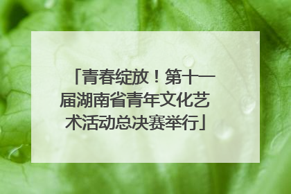 青春绽放！第十一届湖南省青年文化艺术活动总决赛举行