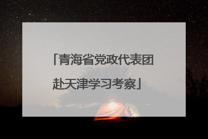 青海省党政代表团赴天津学习考察