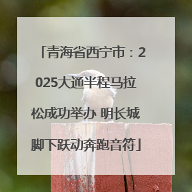 青海省西宁市：2025大通半程马拉松成功举办 明长城脚下跃动奔跑音符