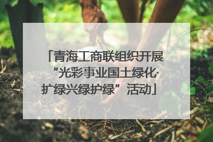 青海工商联组织开展“光彩事业国土绿化·扩绿兴绿护绿”活动