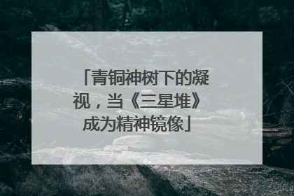 青铜神树下的凝视，当《三星堆》成为精神镜像
