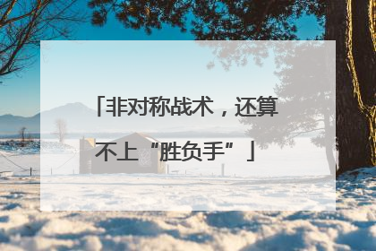 非对称战术，还算不上“胜负手”