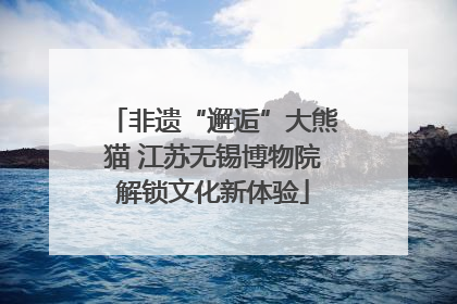 非遗“邂逅”大熊猫 江苏无锡博物院解锁文化新体验