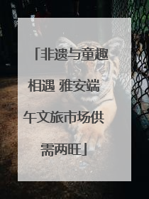 非遗与童趣相遇 雅安端午文旅市场供需两旺