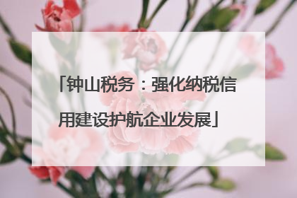 钟山税务：强化纳税信用建设护航企业发展