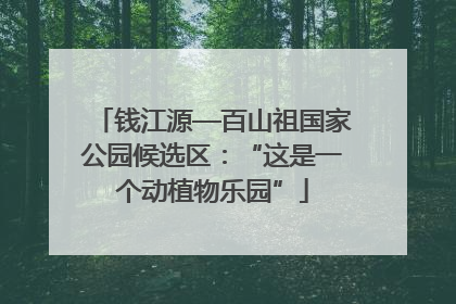 钱江源—百山祖国家公园候选区：“这是一个动植物乐园”